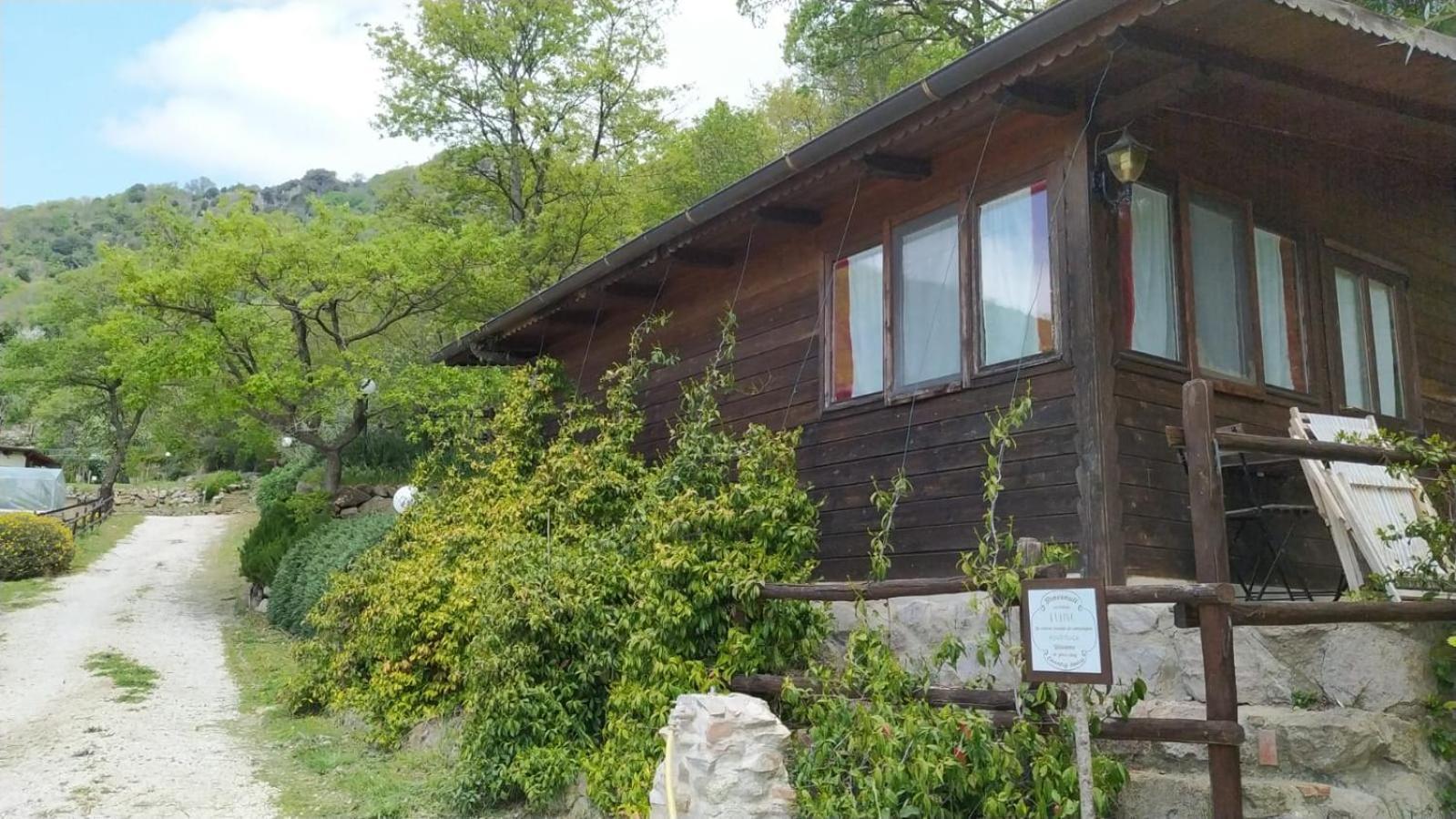Azienda Agricola Biologica La Cardellina Tolfa Экстерьер фото