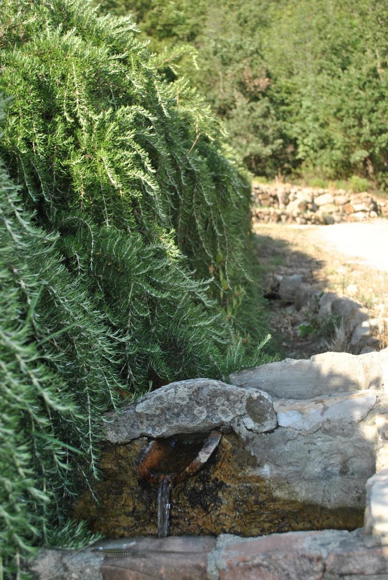 Azienda Agricola Biologica La Cardellina Tolfa Экстерьер фото