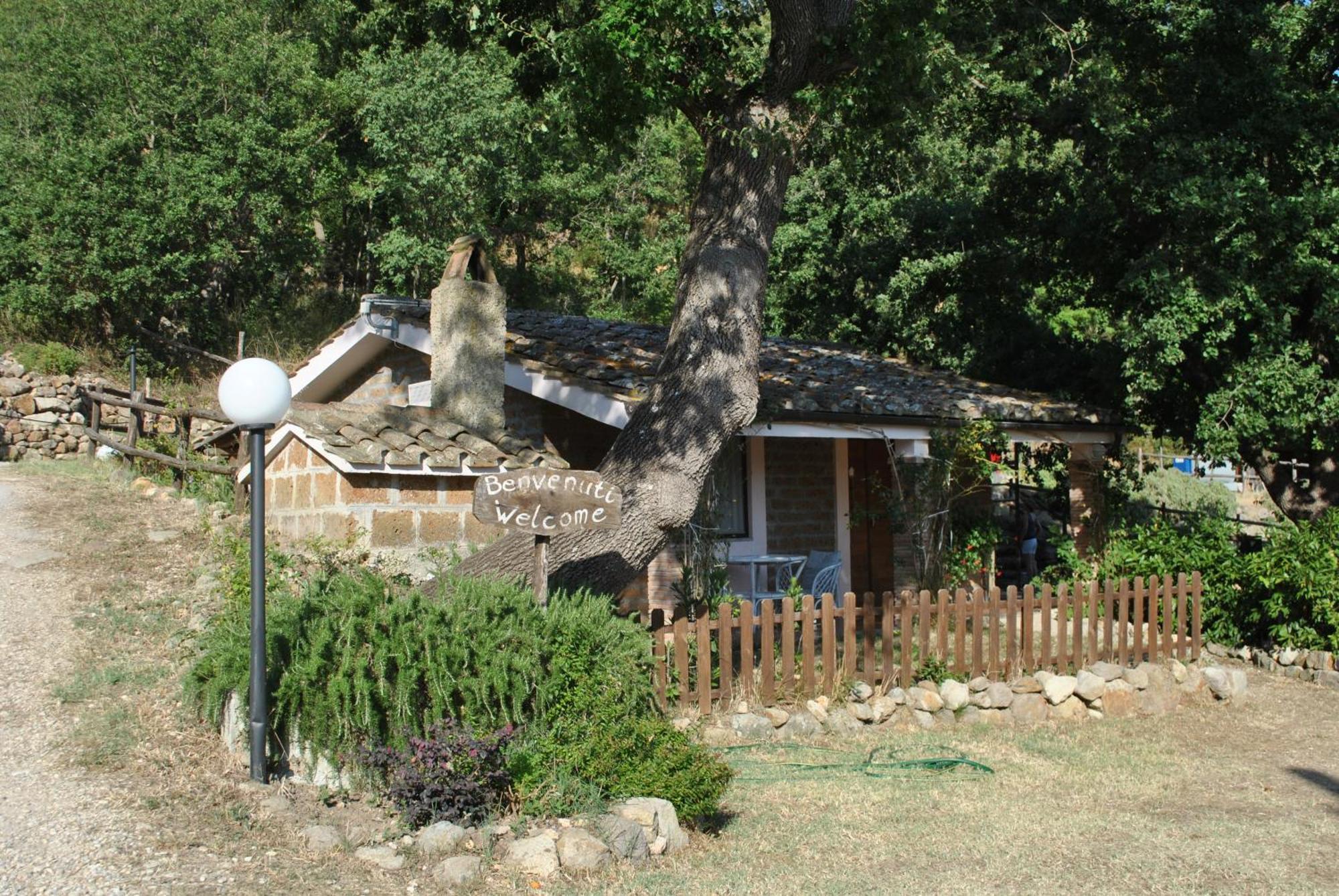 Azienda Agricola Biologica La Cardellina Tolfa Экстерьер фото