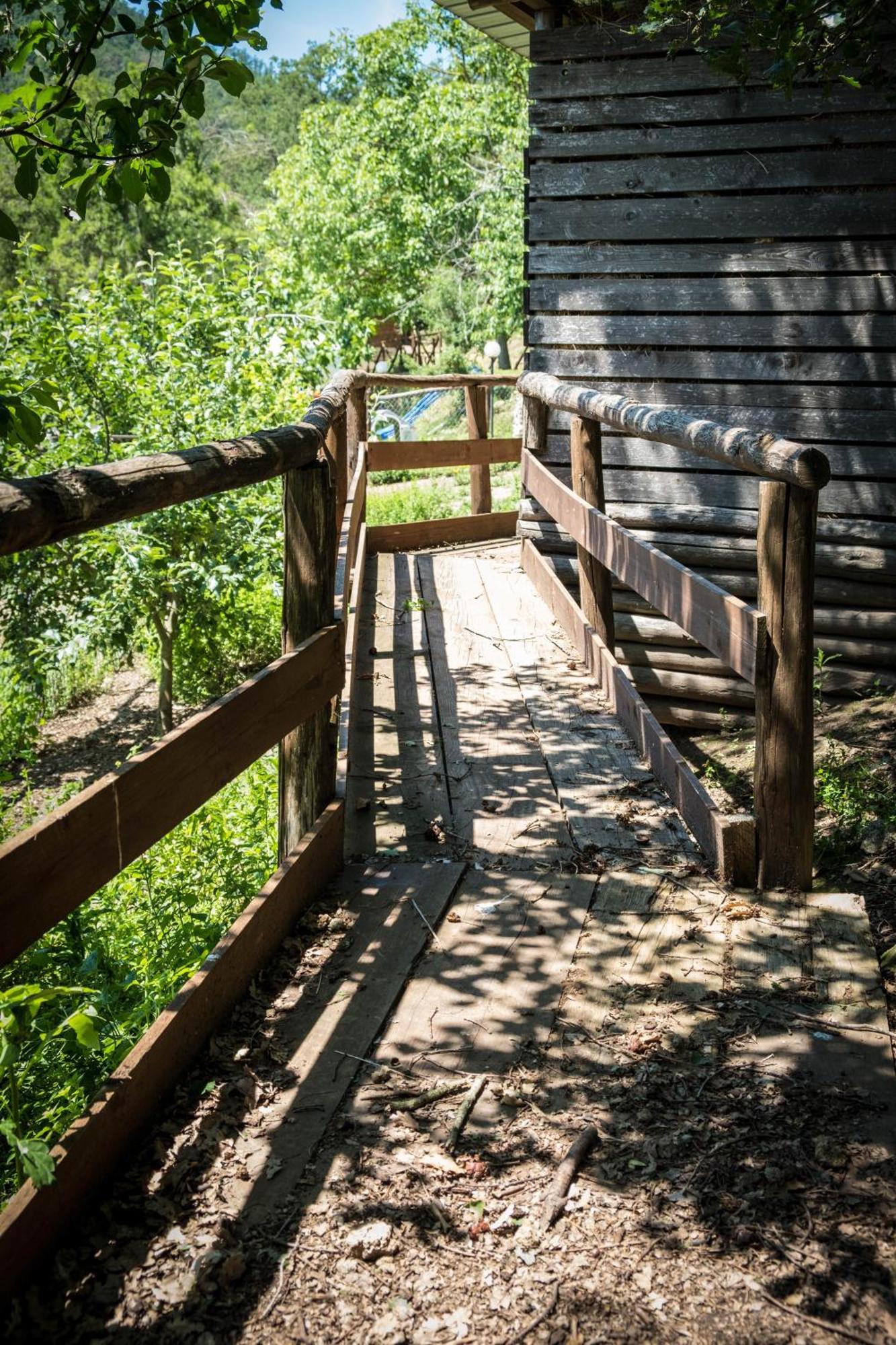 Azienda Agricola Biologica La Cardellina Tolfa Экстерьер фото