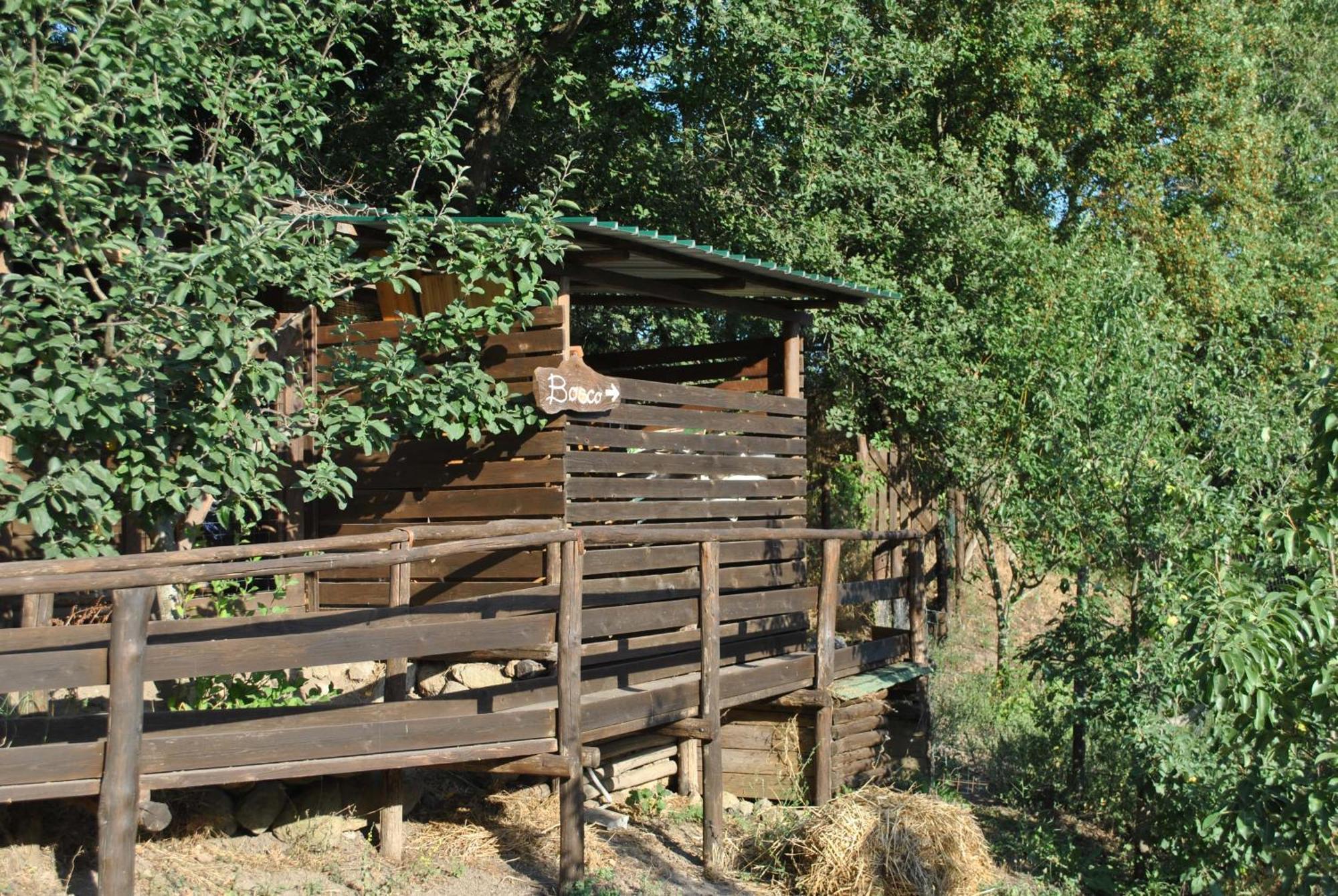 Azienda Agricola Biologica La Cardellina Tolfa Экстерьер фото